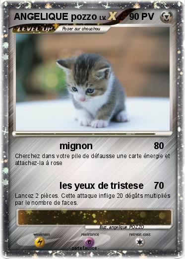Pokemon ANGELIQUE pozzo