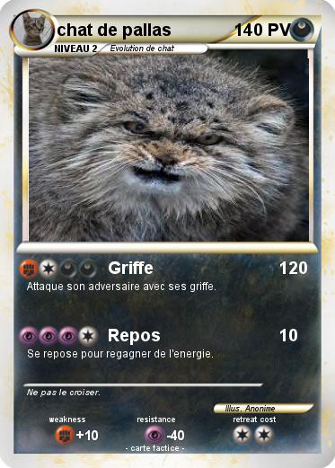 Pokemon chat de pallas