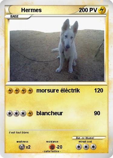 Pokemon Hermes