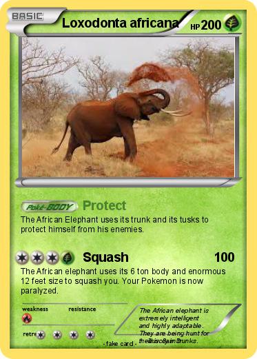 Pokemon Loxodonta africana