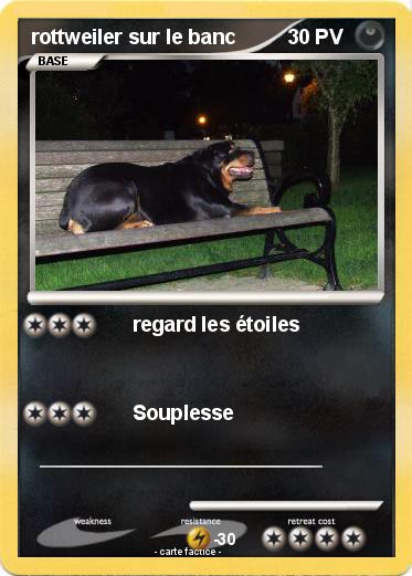 Pokemon rottweiler sur le banc