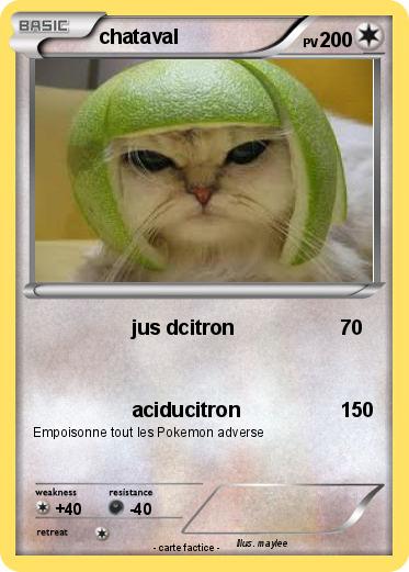Pokemon chataval
