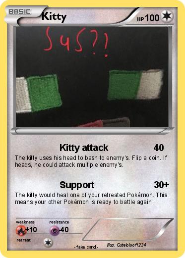Pokemon Kitty