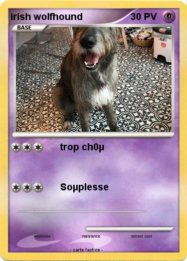 Pokemon irish wolfhound