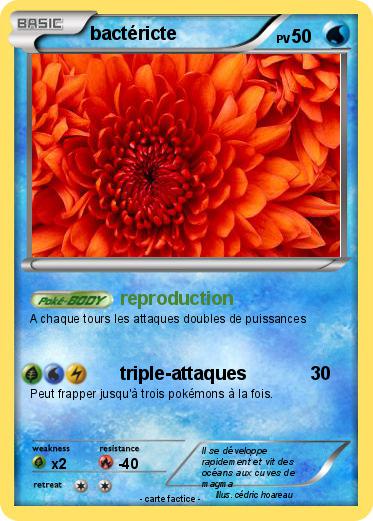 Pokemon bactéricte