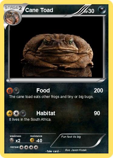 Pokemon Cane Toad