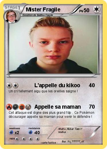Pokemon Mister Fragile