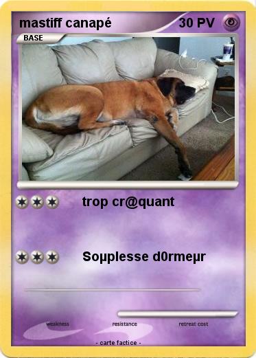Pokemon mastiff canapé