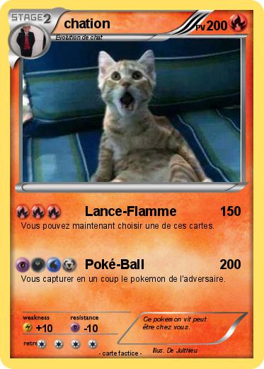 Pokemon chation