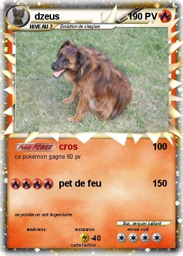 Pokemon dzeus