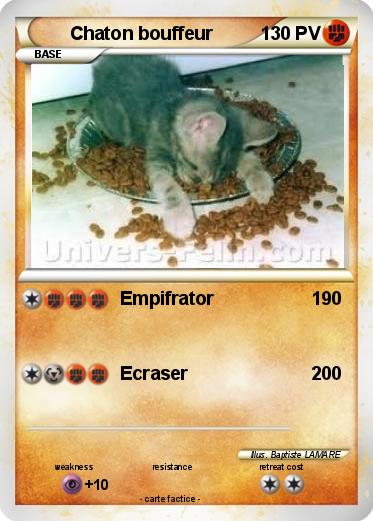 Pokemon Chaton bouffeur