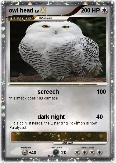 Pokemon owl head