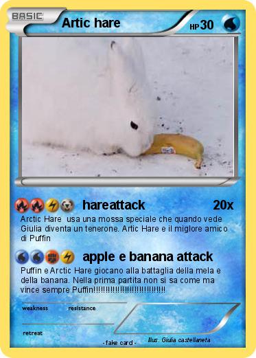 Pokemon Artic hare