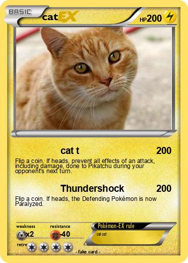 Pokemon cat