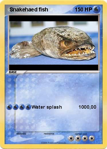 Pokemon  Snakehaed fish