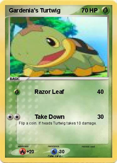 Pokemon Gardenia's Turtwig