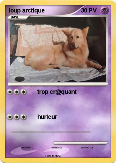 Pokemon loup arctique