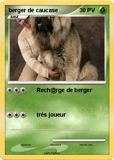 Pokemon berger de caucase