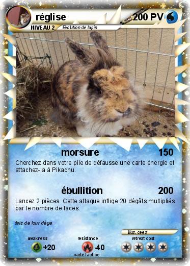 Pokemon réglise