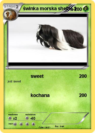 Pokemon świnka morska sheltie 2