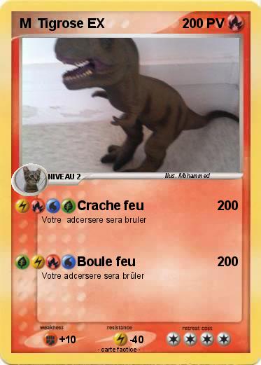 Pokemon M  Tigrose EX
