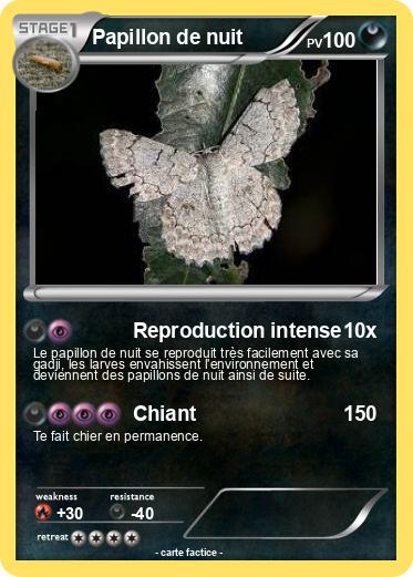 Pokemon Papillon de nuit