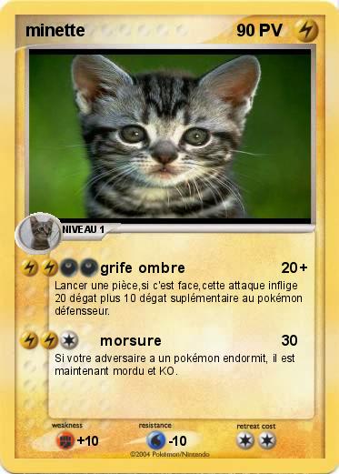 Pokemon minette