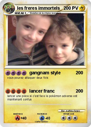 Pokemon les freres immortels