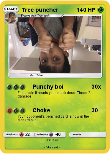 Pokemon Tree puncher