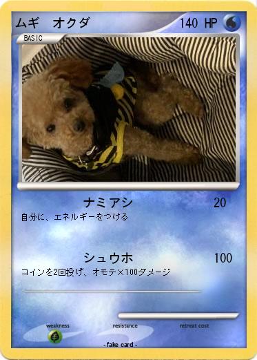 Pokemon ムギ　オクダ