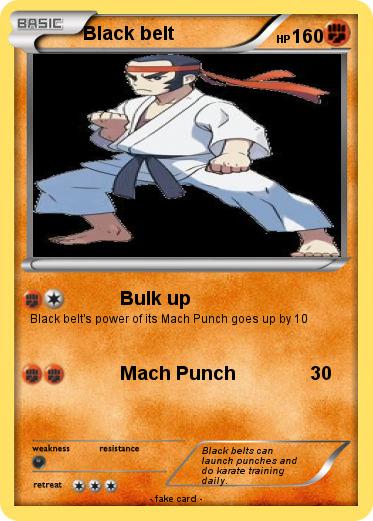 Pokemon Black belt