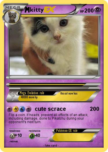 Pokemon kitty