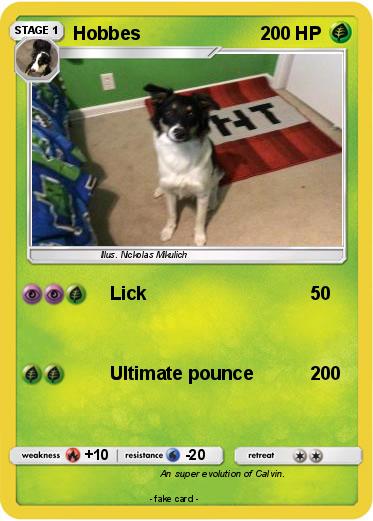 Pokemon Hobbes