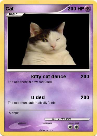 Pokemon Cat