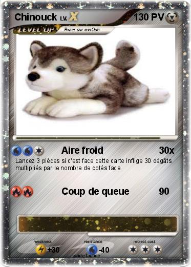 Pokemon Chinouck