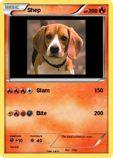 Pokemon Shep