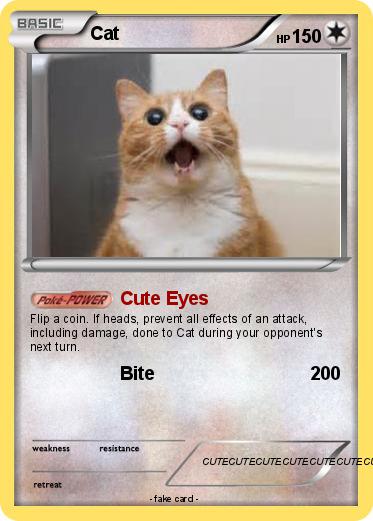 Pokemon Cat