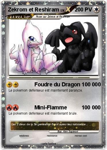 Pokemon Zekrom et Reshiram