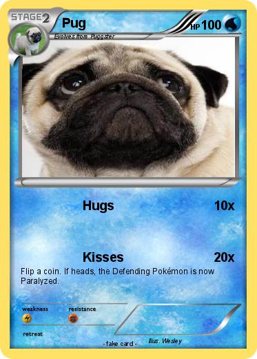 Pokemon Pug