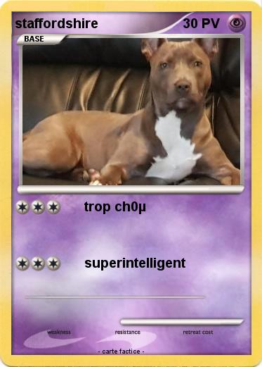 Pokemon staffordshire