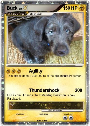 Pokemon Buck
