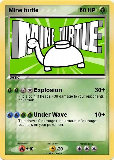 Pokemon Mine turtle