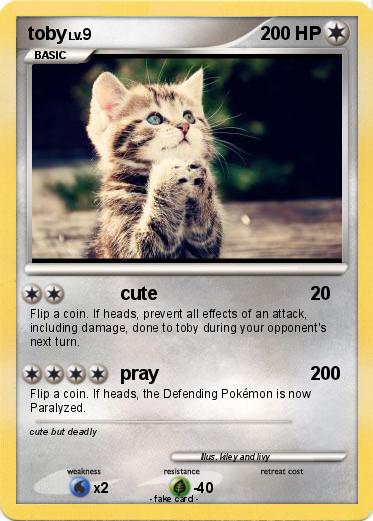 Pokemon toby