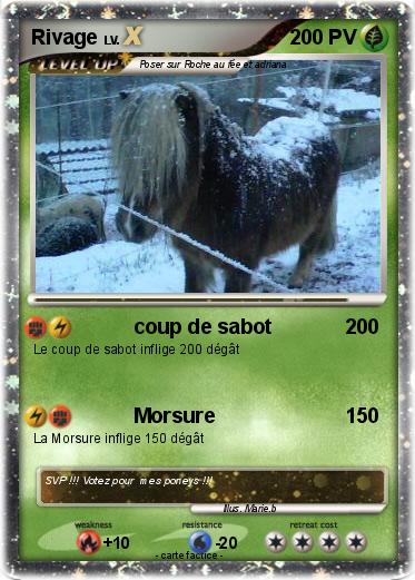 Pokemon Rivage