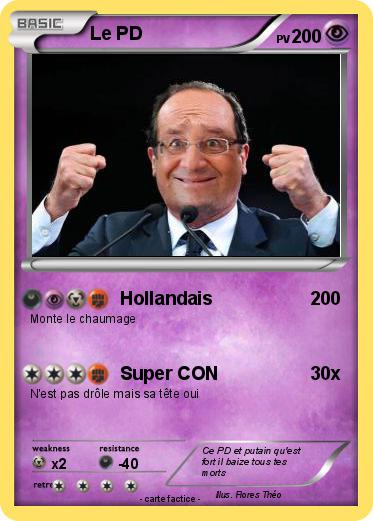 Pokemon Le PD