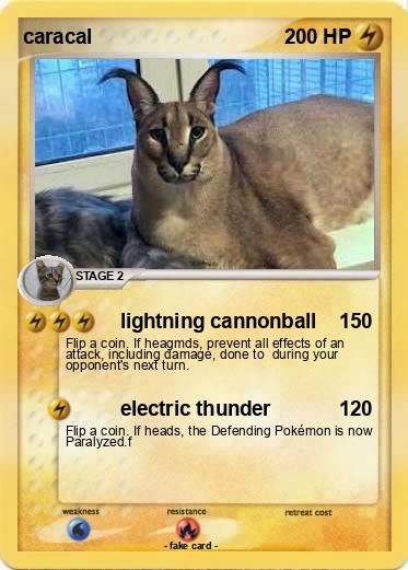 Pokemon caracal