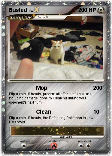 Pokemon Busted