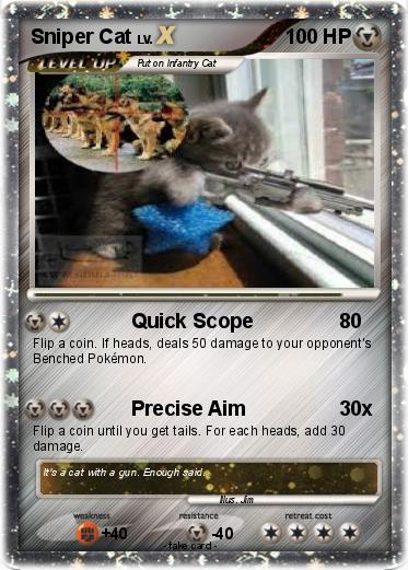 Pokemon Sniper Cat