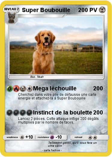 Pokemon Super Boubouille