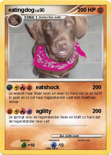 Pokemon eatingdog